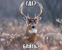 где? блять?