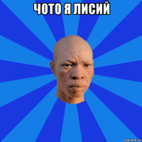 чото я лисий 