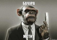 Бачура мстит