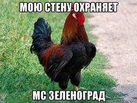 мою стену охраняет мс зеленоград