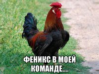  феникс в моей команде....