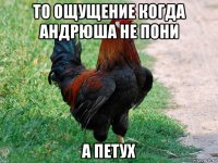 то ощущение когда андрюша не пони а петух