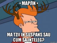 • марли • ma tzii in suspans sau cum sa inteleg?