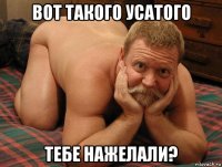 вот такого усатого тебе нажелали?