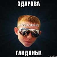 здарова гандоны!