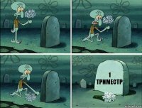 1 триместр