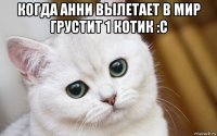 когда анни вылетает в мир грустит 1 котик :с 