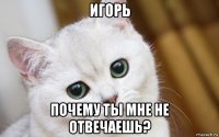 игорь почему ты мне не отвечаешь?