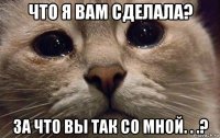 что я вам сделала? за что вы так со мной. . .?