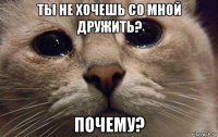 ты не хочешь со мной дружить? почему?