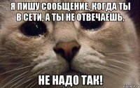 я пишу сообщение, когда ты в сети, а ты не отвечаешь, не надо так!