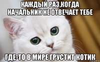 каждый раз,когда начальник не отвечает тебе где-то в мире грустит котик