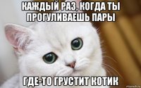 каждый раз, когда ты прогуливаешь пары где-то грустит котик