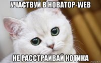 участвуй в новатор-web не расстраивай котика