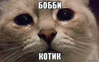 бобби котик