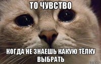 то чувство когда не знаешь какую тёлку выбрать