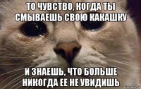 то чувство, когда ты смываешь свою какашку и знаешь, что больше никогда ее не увидишь