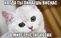 когда ты пинаешь вискас в мире грустит котик