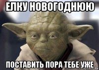 елку новогоднюю поставить пора тебе уже