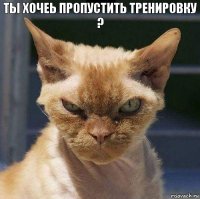 Ты хочеь пропустить тренировку ? 