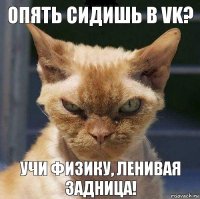 опять сидишь в vk? учи физику, ленивая задница!