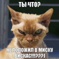 Ты что? Не положил в миску вискас!!!???)