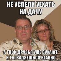 не успели уехать на дачу а твои друзья уже бухают и ты валяешься вгавно