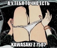 а у тебя точно есть kawasaki z 750?