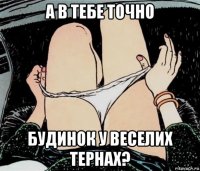 а в тебе точно будинок у веселих тернах?