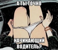 а ты точно начинающий водитель?