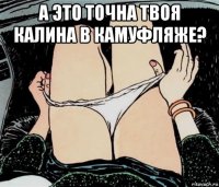 а это точна твоя калина в камуфляже? 