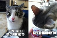 а вдруг меня кастрируют? да не бред какойто