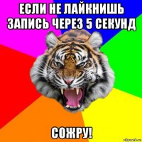 если не лайкнишь запись через 5 секунд сожру!