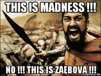 this is madness !!! no !!! this is zaebova !!!