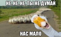 не, не, не. ты не думай нас мало