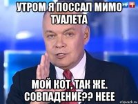 утром я поссал мимо туалета мой кот, так же. совпадение?? неее