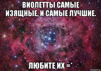 виолетты самые изящные, и самые лучшие. любите их =*