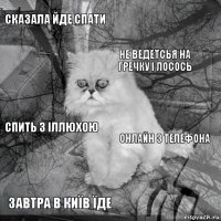 Сказала йде спати Онлайн з телефона Не ведетсья на гречку і лосось Завтра в Київ їде Спить з Іллюхою     