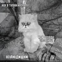 Нах в тапки насрал?! Иди отсюда засранец!  (c)людишки      