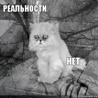 РЕАЛЬНОСТИ НЕТ        