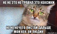 не не это не травка это кексики не не нечего листай дальше мой кек..ой людик