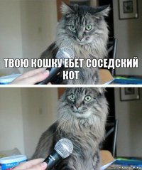 Твою кошку ебёт соседский кот 