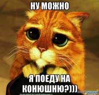 ну можно я поеду на конюшню?)))