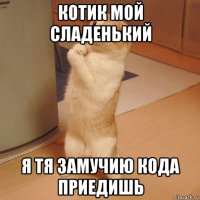 котик мой сладенький я тя замучию кода приедишь