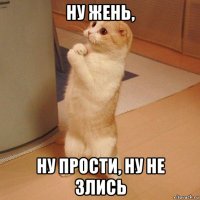 ну жень, ну прости, ну не злись