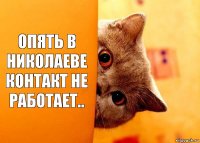 опять в николаеве контакт не работает..