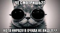 чё смотришь?? кота ниразу в очках не видел??