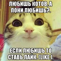 любишь котов, а пони любишь?. если любишь то ставь лайк. (like.).