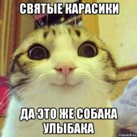 святые карасики да это же собака улыбака