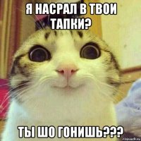 я насрал в твои тапки? ты шо гонишь???